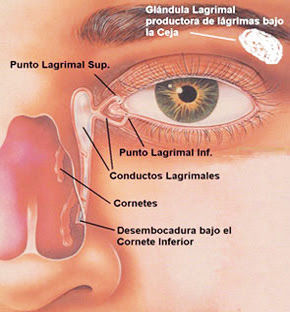 le-lloran-los-ojos